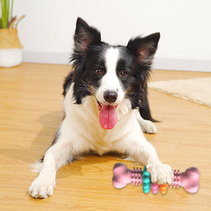 Interactive dog chew bone for oral hygiene and training