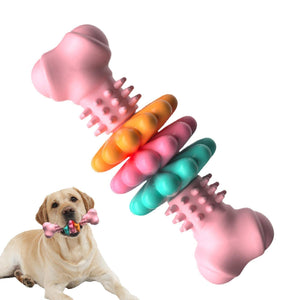 Dog chew bone toy for dental cleaning and gum massage