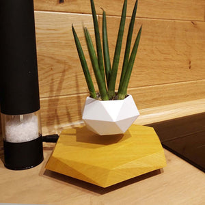 Magnetic levitation flower pot for modern home decor