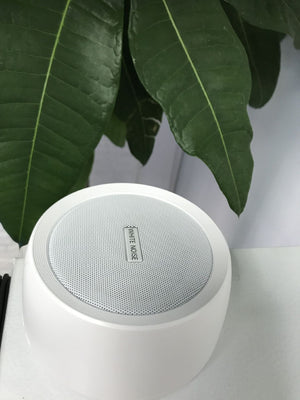 Compact USB white noise device for blocking distractions
