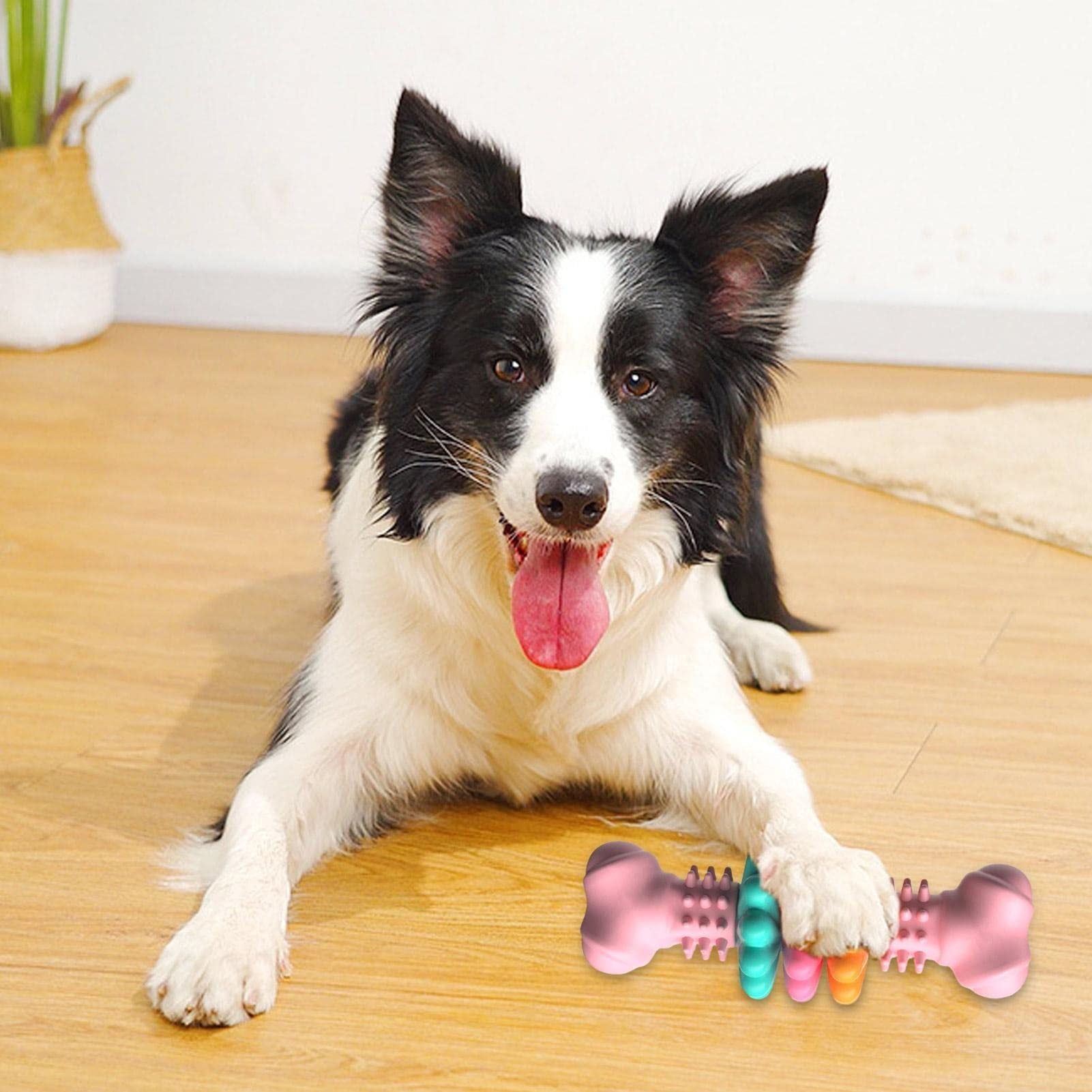 Interactive dog chew bone for oral hygiene and training