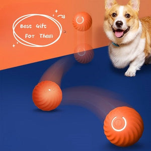 Durable rubber dog chew toy for aggressive chewers
