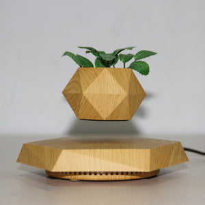 Futuristic floating planter with wood grain base design
