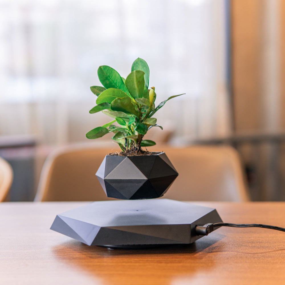 Creative floating flower pot for indoor greenery decoration