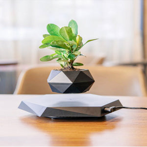 Levitating magnetic flower pot floating indoor plant display
