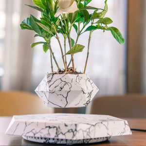 Futuristic floating planter with wood grain base design
