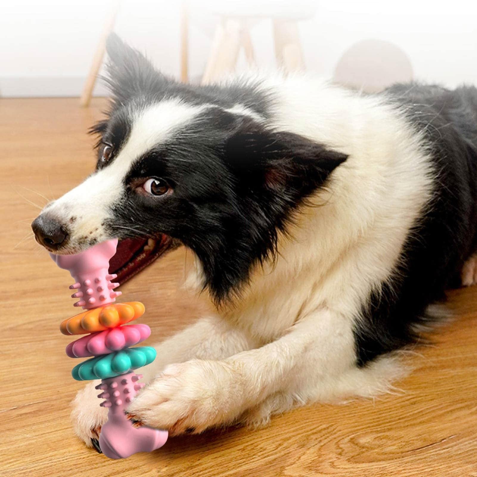 Bone shaped dog toy for reducing boredom and anxiety
